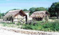 Jacals on the Road to Linares - Roof-thathed homes